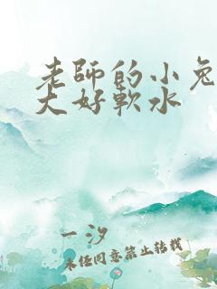 老师的小兔子好大好软水
