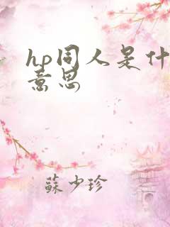 hp同人是什么意思