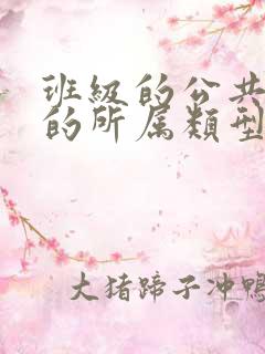 班级的公共小0的所属类型