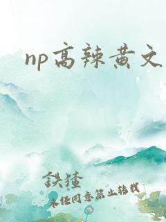 np高辣黄文