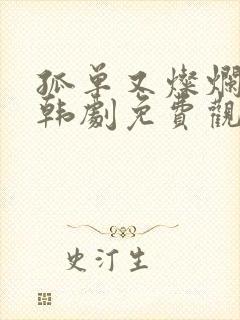 孤单又灿烂的神韩剧免费观看