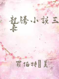 龙腾小说三宝局长