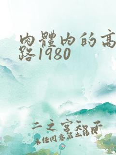 肉体内的高速公路1980
