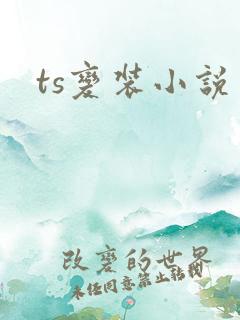 ts变装小说