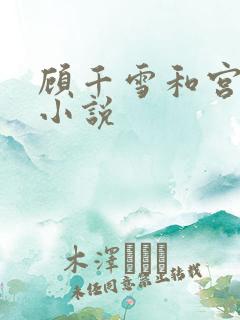 顾千雪和宫凌沨小说
