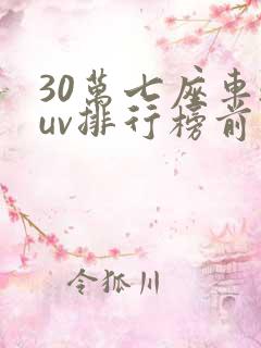 30万七座车suv排行榜前十名