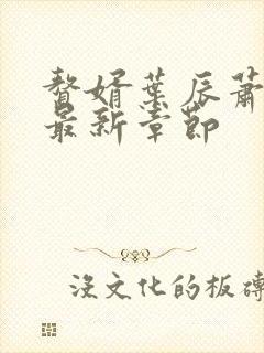 赘婿叶辰萧初然最新章节