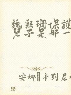 魏熙珊保护萧峥儿子是哪一集