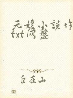 元媛小说作品集txt网盘