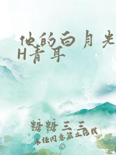 他的白月光HVH青耳