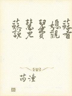 苏慧儿媳苏慧小说免费观看