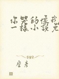 你哭的像我死了一样小说免费阅读