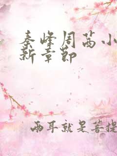 秦峰周茜小说最新章节