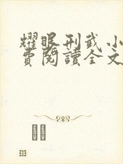 耀眼刑武小说免费阅读全文最新章节