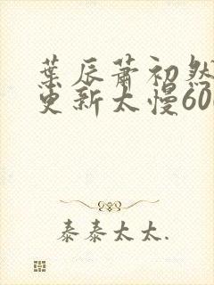 叶辰萧初然刚刚更新太慢600集