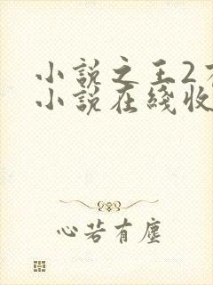 小说之王2有声小说在线收听