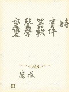 变声器实时语音变声软件