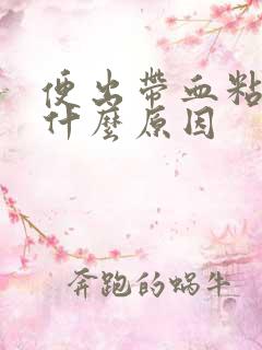 便出带血粘液是什么原因