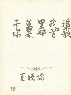 千万里我追寻着你是哪首歌的歌词