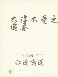 不得不爱之冷少追妻