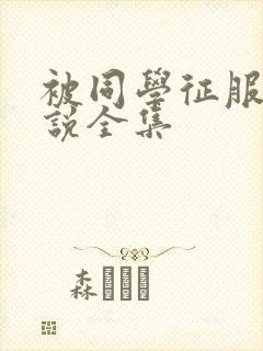 被同学征服的小说全集