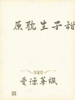 原耽生子甜文