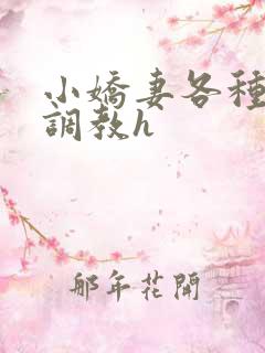 小娇妻各种姿势调教h