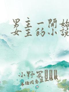 男主一开始厌恶女主的小说