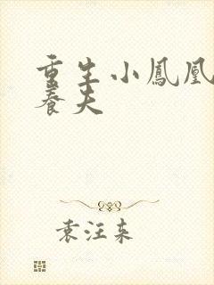 重生小凤凰的童养夫