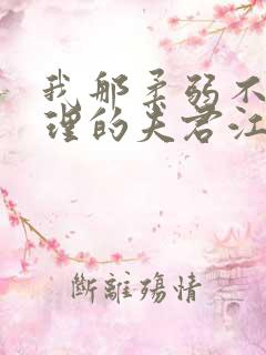 我那柔弱不能自理的夫君江逸