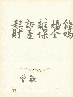 起诉离婚能申请财产保全吗