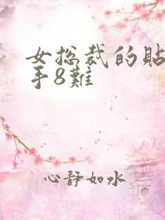 女总裁的贴身高手8难