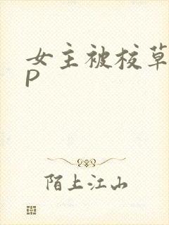 女主被校草们NP
