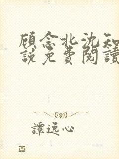 顾念北沈知宁小说免费阅读最新章节