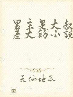 男主是大叔年龄差大的小说