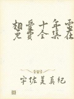 相爱十年电视剧免费全集在线观看