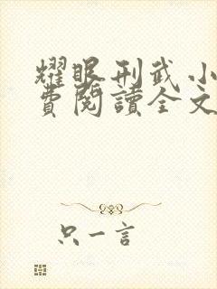 耀眼刑武小说免费阅读全文最新章节