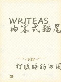 WRITEAS内塞式猫尾