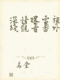 深情眼电视剧在线观看番外