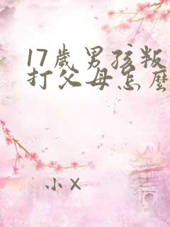 17岁男孩叛逆打父母怎么办