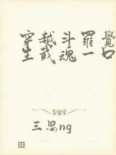 穿越斗罗觉醒十生武魂一口气看完