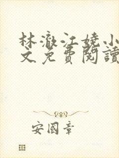 林澈江娆小说全文免费阅读