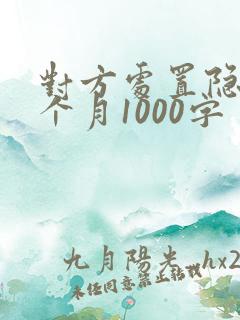 对方处置隐私一个月1000字