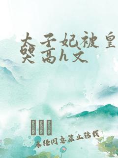 太子妃被皇上c哭高h文