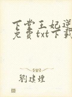 下堂王妃逆袭记免费txt下载