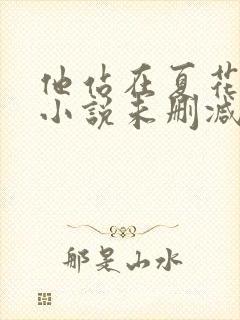 他站在夏花绚烂小说未删减版