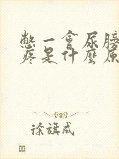 憋一会尿膀胱就疼是什么原因