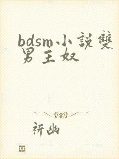 bdsm小说双男主奴