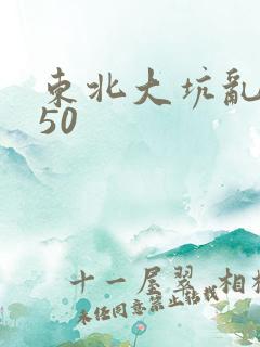 东北大坑乱1—50
