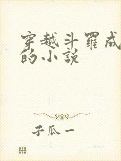 穿越斗罗成魂兽的小说